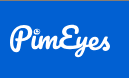 NPA logo